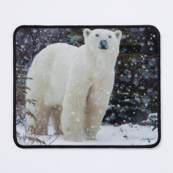 Item preview,  Polar Bear canvas, Polar Bear , animal, animals, Polar Bear wall art, Polar Bear artwork, wild, Polar Bear art,Polar Bear painting designed and sold by eyesight4vision.