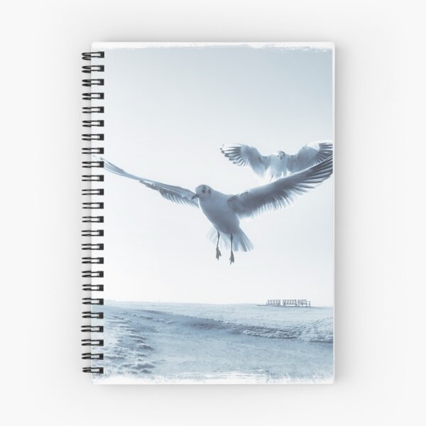 Item preview, Black-headed Gulls at Charmouth Dorset designed and sold by Dorset Girl.