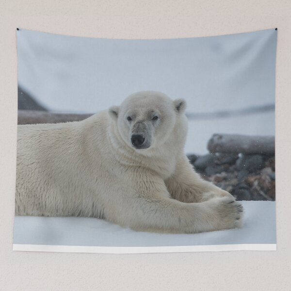 Item preview,  Polar Bear canvas, Polar Bear , animal, animals, Polar Bear wall art, Polar Bear artwork, wild, Polar Bear art,Polar Bear painting designed and sold by eyesight4vision.