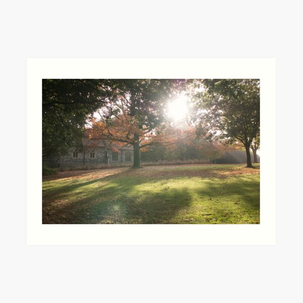 Sunlit autumn scene Art Print