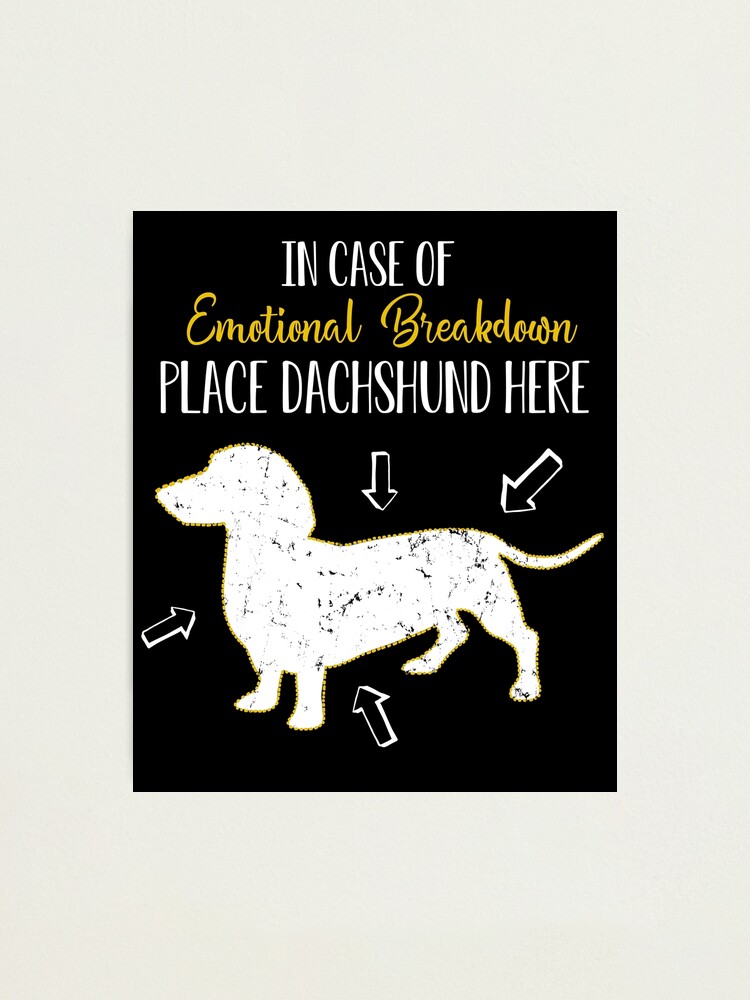 Emotional store support dachshund