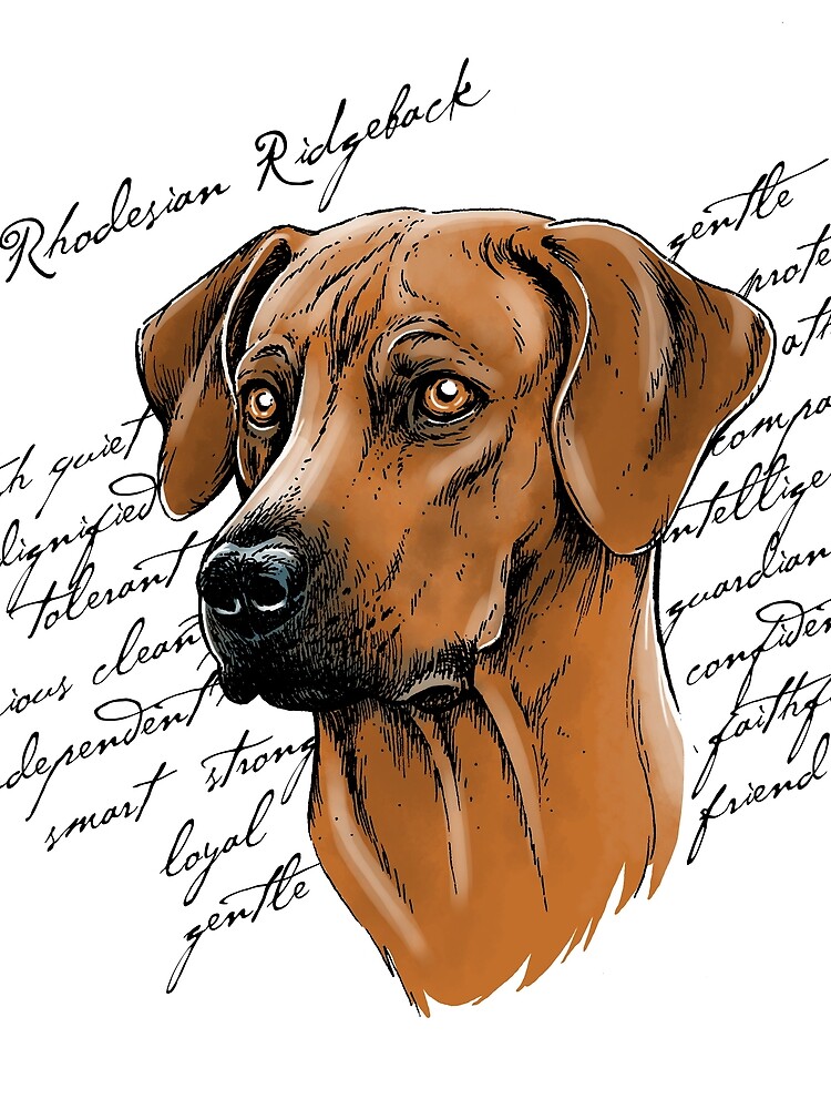 Thumbnail 3 of 3, Scarf, Rhodesian Ridgeback designed and sold by Motivburg.