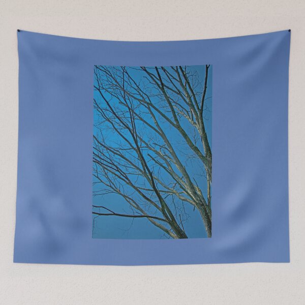Item preview, Blue Sky Beyond the Winter Trees designed and sold by Brian Shaw.