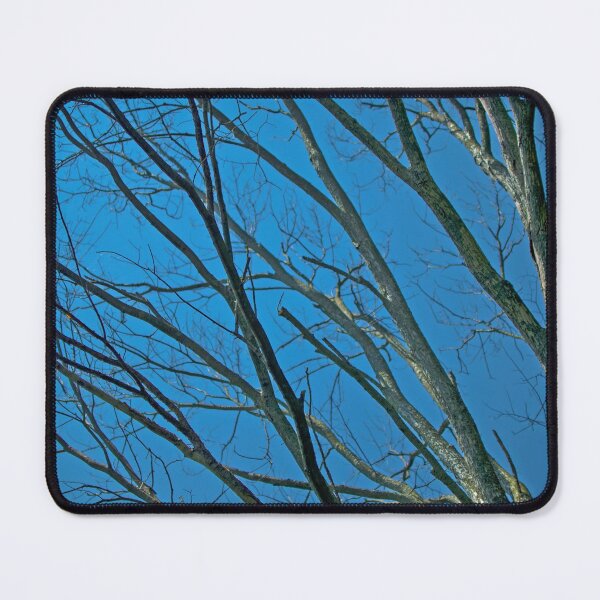 Item preview, Blue Sky Beyond the Winter Trees designed and sold by Brian Shaw.