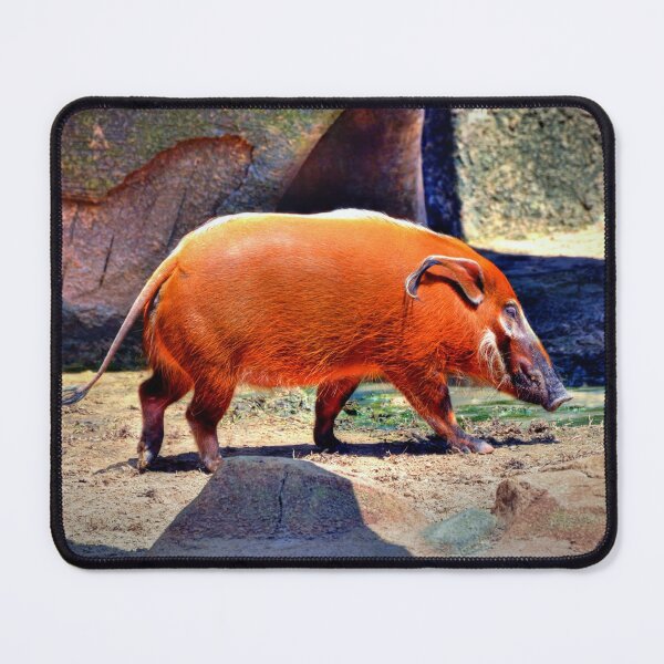 Item preview, Red River Hog designed and sold by Savannah Gibbs.