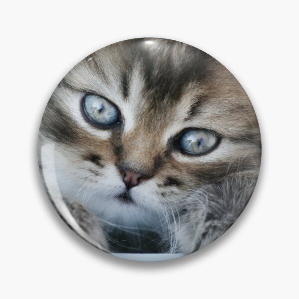 Item preview, Portrait of cute grey kitten designed and sold by olena2552.