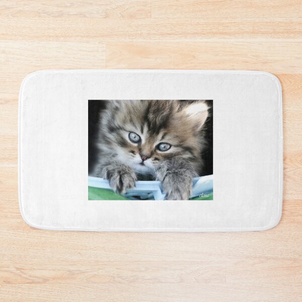 Item preview, Portrait of cute grey kitten designed and sold by olena2552.