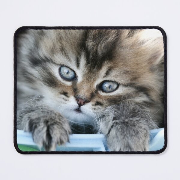 Item preview, Portrait of cute grey kitten designed and sold by olena2552.