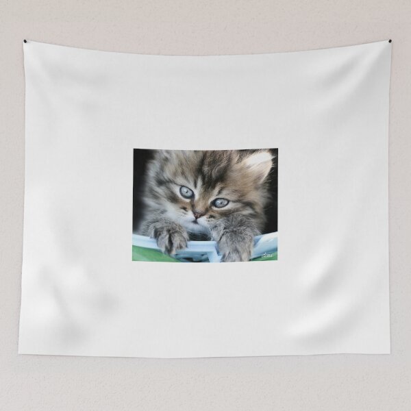 Item preview, Portrait of cute grey kitten designed and sold by olena2552.