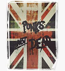 Punk's Not Dead, it's just Glitched. Poster