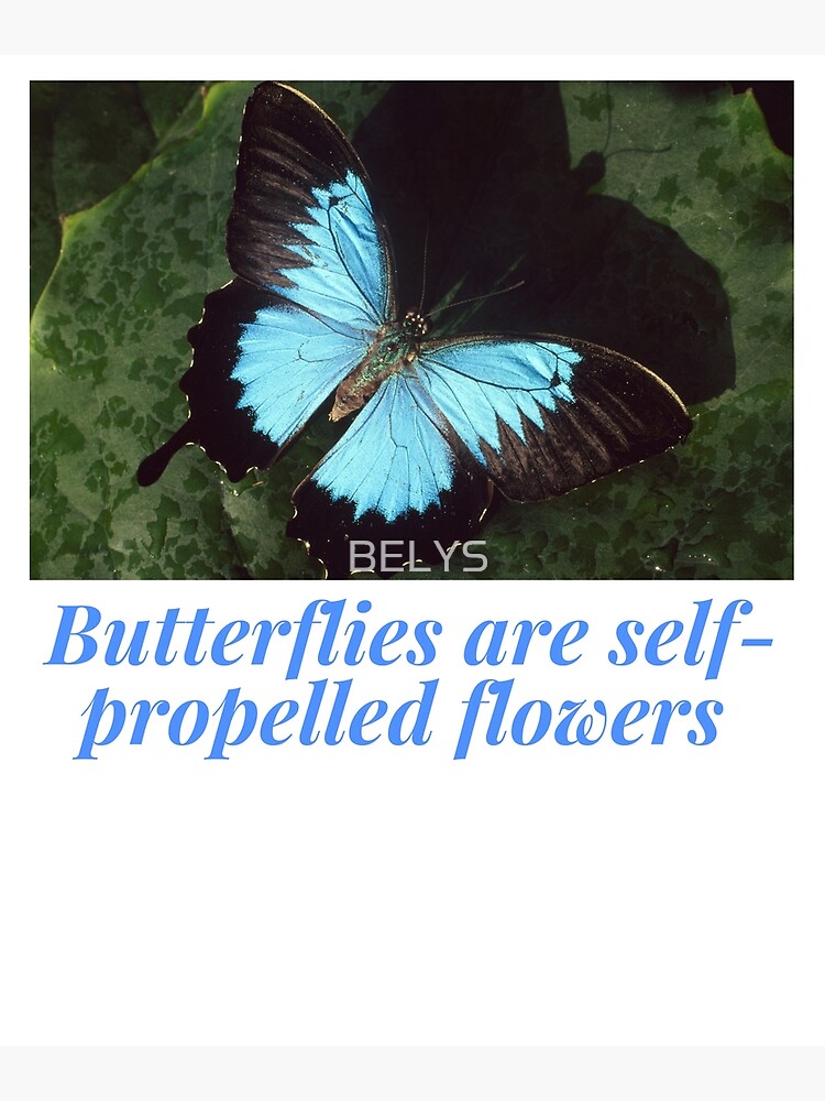 "Butterflies are selfpropelled flowers" Poster for Sale by BELYS
