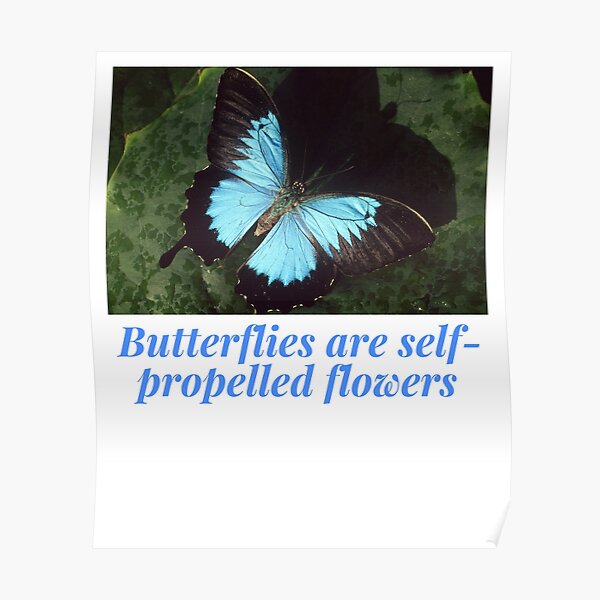 "Butterflies are selfpropelled flowers" Poster for Sale by BELYS