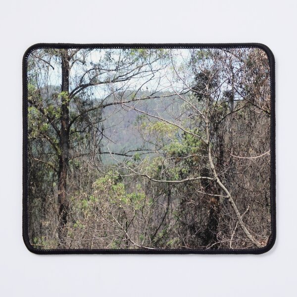 Item preview, Land designed and sold by Jodie Cooper.