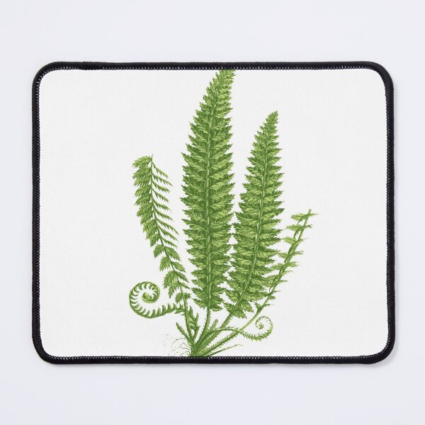 Item preview, Vintage Fern Design designed and sold by Wenkatdesigns.
