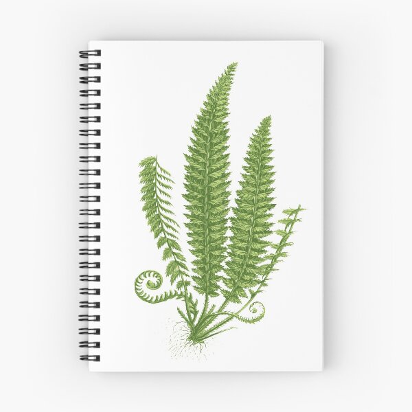 Item preview, Vintage Fern Design designed and sold by Wenkatdesigns.