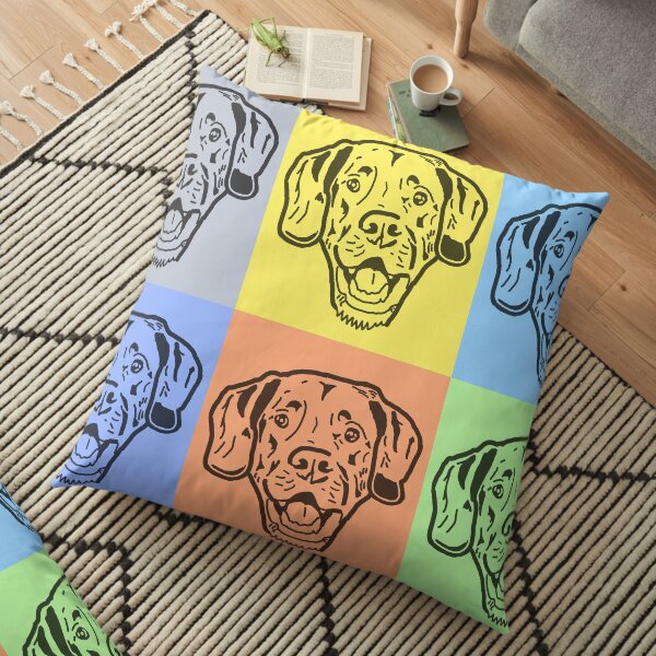 Colorblock Dog Floor Pillow
