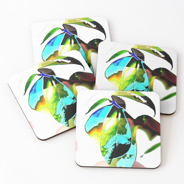 Item preview, photo effect [plant] designed and sold by Jodie Cooper.