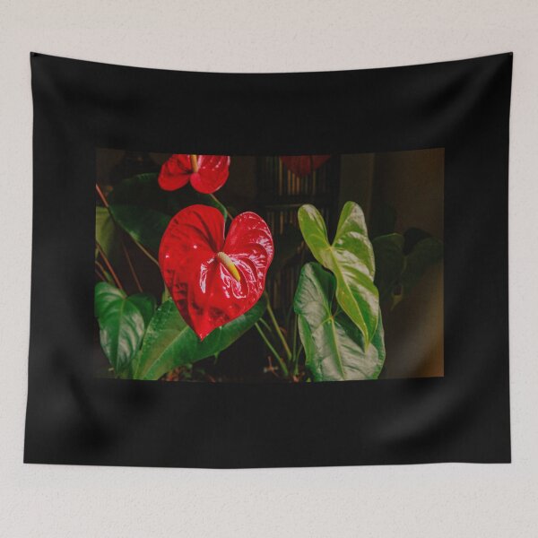 Item preview, A Large, Red Heart-shaped Anthurium For Valentine's Day designed and sold by Mano Chandra Dhas.