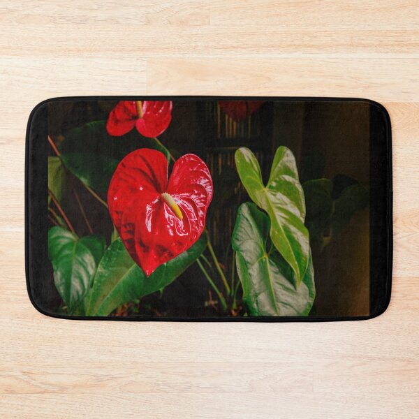 Item preview, A Large, Red Heart-shaped Anthurium For Valentine's Day designed and sold by Mano Chandra Dhas.