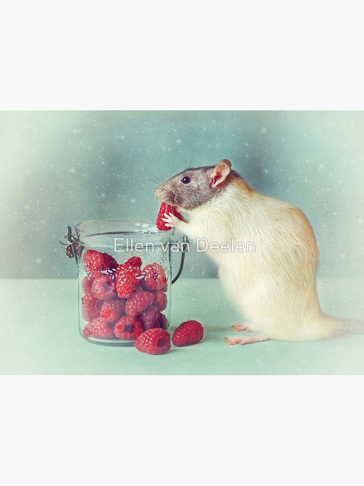 Snoozy always loves his food by Ellen