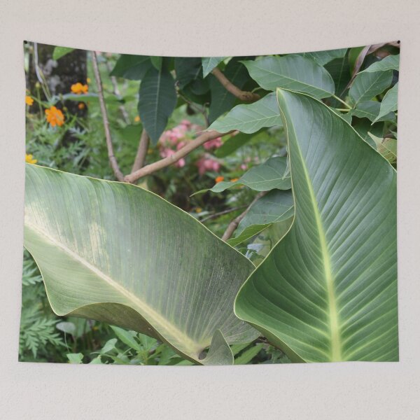 Item preview, Costa Rica Palm designed and sold by umeimages.