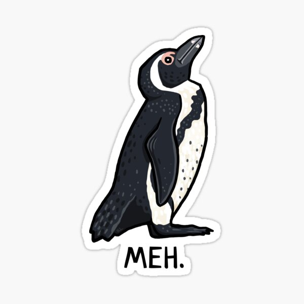 Item preview, African Penguin Meh designed and sold by ryannelevinart.
