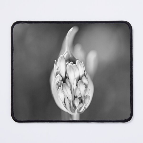Item preview, Agapanthus Buds Tall Pair  designed and sold by Joy Watson - Natural Light Photography .