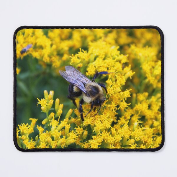 Item preview, Bumbling Along designed and sold by Lens2Canvas.