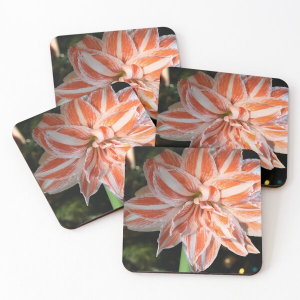 Item preview, Amaryllis designed and sold by CameliaC.