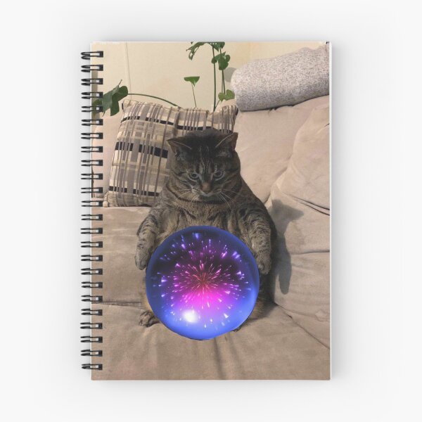 Item preview, Pondering His Orb - Kitten Wizard designed and sold by RarePNGs.