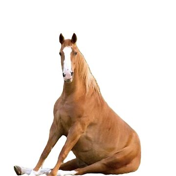 Artwork thumbnail, horse sit by youyouyou219