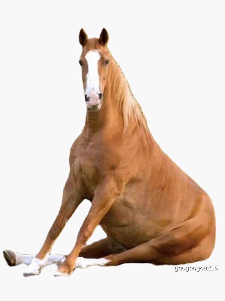 Thumbnail 3 of 3, Sticker, horse sit designed and sold by youyouyou219.