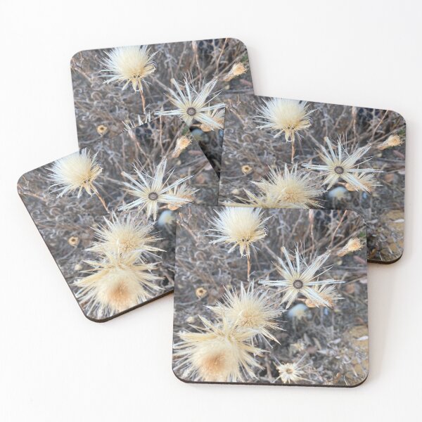 Item preview, natural golden flowers and brushes designed and sold by Lanie B Meyer.