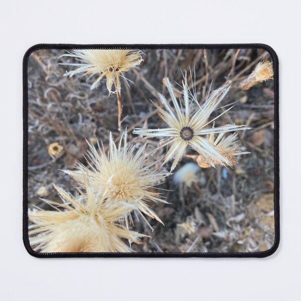 Item preview, natural golden flowers and brushes designed and sold by Lanie B Meyer.