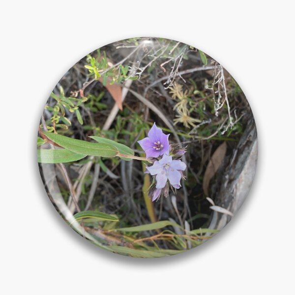Artikelvorschau, die letzten Wildblumen der Saison entworfen und verkauft von Lanie B Meyer.