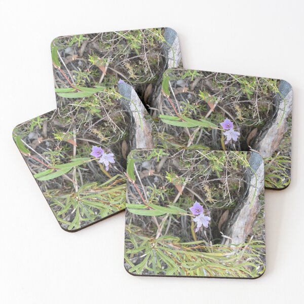 Item preview, last few wildflowers of the season designed and sold by Lanie B Meyer.