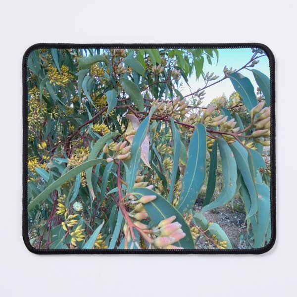Item preview, gum tree designed and sold by Lanie B Meyer.