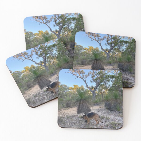 Item preview, bea the therapy dog, following the kangaroo trail designed and sold by Lanie B Meyer.