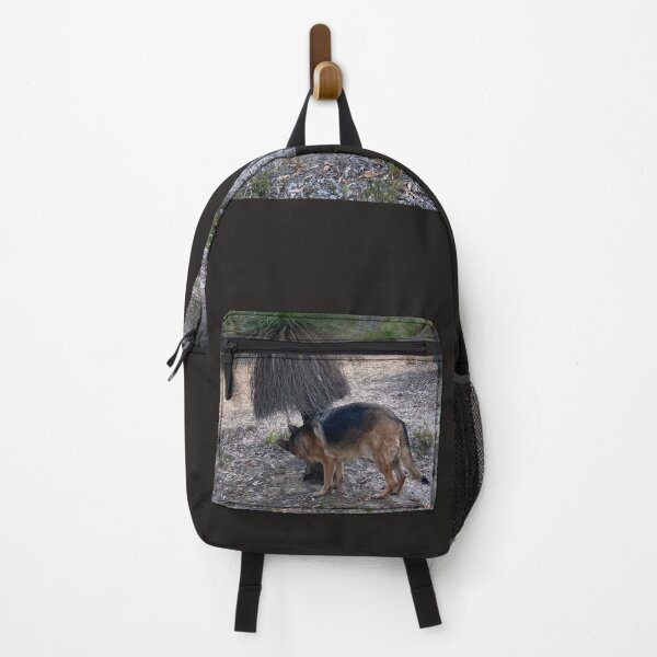 Item preview, bea the therapy dog, following the kangaroo trail designed and sold by Lanie B Meyer.