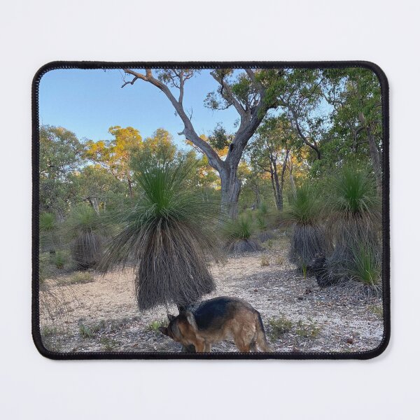 Item preview, bea the therapy dog, following the kangaroo trail designed and sold by Lanie B Meyer.