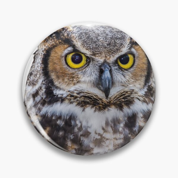 Item preview, 1st Concentrated Majestic Beautiful Angry Owls Stickers Pack. Essential For Every Owl Lover. Suitable For Laptops, Walls, Cars - Cute designed and sold by AnimalStickers-.