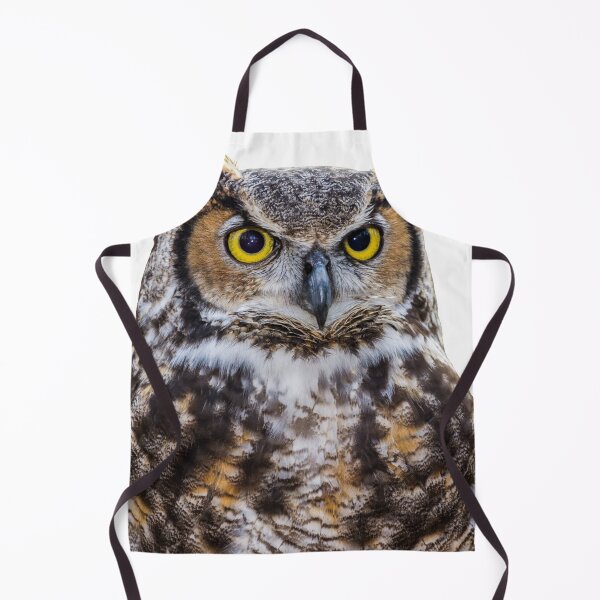 Item preview, 1st Concentrated Majestic Beautiful Angry Owls Stickers Pack. Essential For Every Owl Lover. Suitable For Laptops, Walls, Cars - Cute designed and sold by AnimalStickers-.