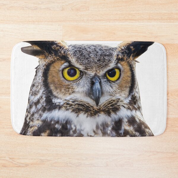 Item preview, 1st Concentrated Majestic Beautiful Angry Owls Stickers Pack. Essential For Every Owl Lover. Suitable For Laptops, Walls, Cars - Cute designed and sold by AnimalStickers-.