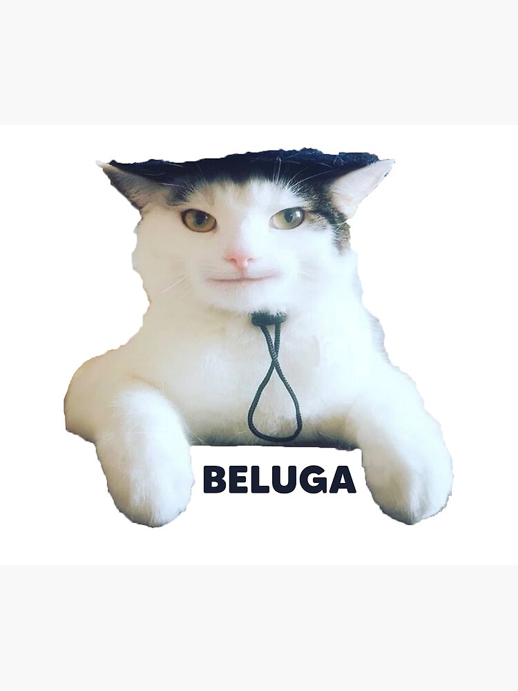 Beluga Cat Discord Pfp Essential T Shirt Poster For Sale By Your New Vision Redbubble 4556