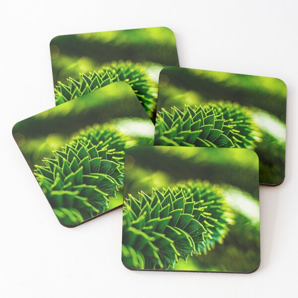 Item preview, Chilean araucaria designed and sold by BBPGallery.