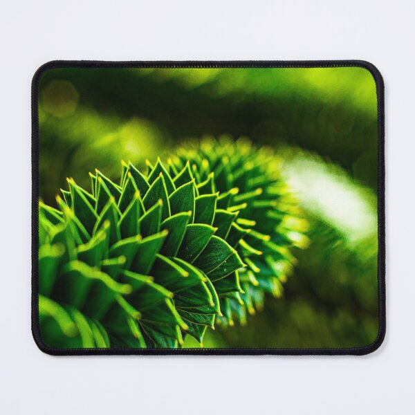 Item preview, Chilean araucaria designed and sold by BBPGallery.