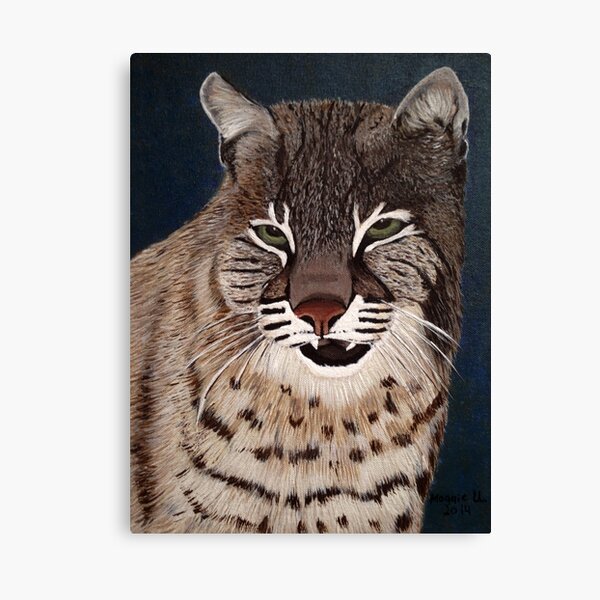 Bobcat Canvas Print