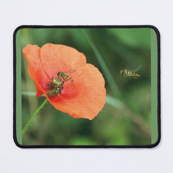 Item preview, Hoverfly in flight joins his friends designed and sold by Brudel.
