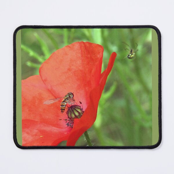 Item preview, Syrphe gathers a poppy designed and sold by Brudel.