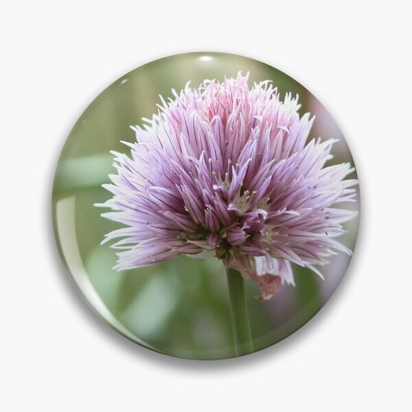 Item preview, A chive flower designed and sold by Brudel.